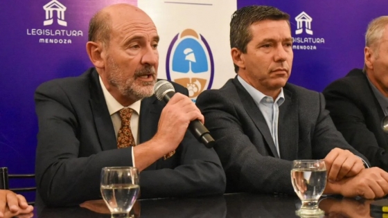 Mendoza impulsa la expropiación de 90 hectáreas para crear un polo logístico sobre la Ruta 7