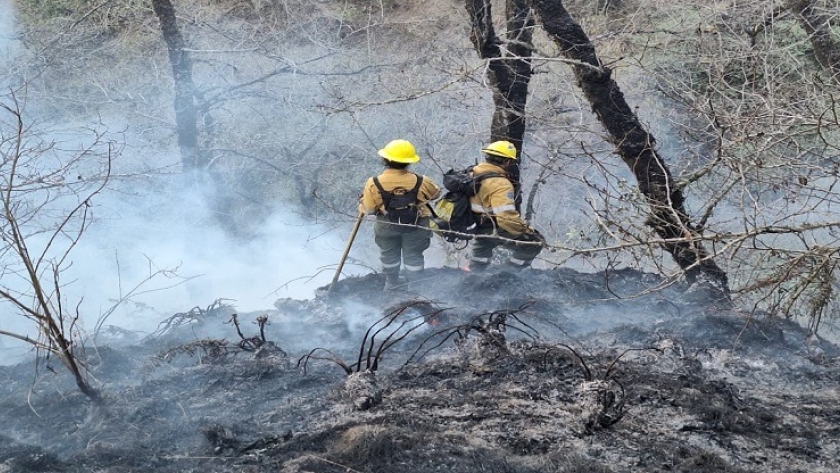 Brigadistas forestales combatieron incendio en las cumbres de El Matadero