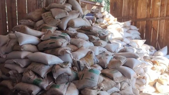 <AFIP subasta más de 200 toneladas de soja: cómo participar