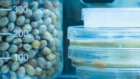 Ceres Demeter, la microbiología cordobesa que aporta valor al agro