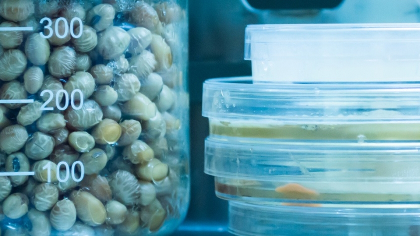 Ceres Demeter, la microbiología cordobesa que aporta valor al agro