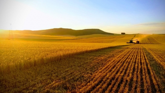 “El mercado sigue demandado de campos agrícolas buenos o muy buenos”