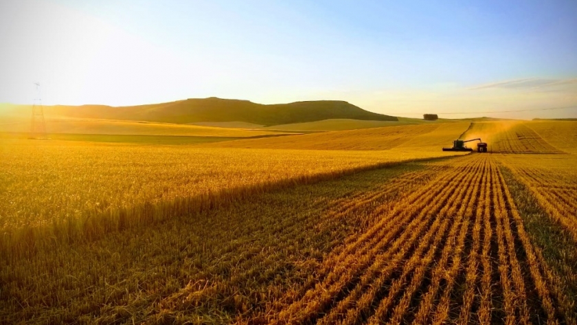 “El mercado sigue demandado de campos agrícolas buenos o muy buenos”