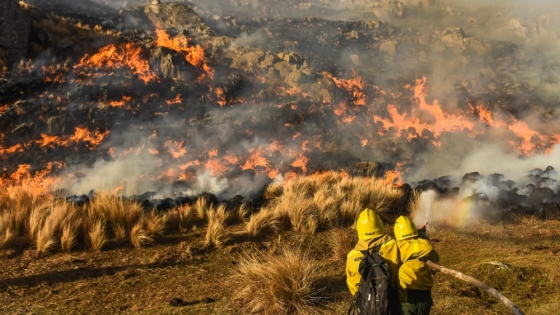 Incendios en Córdoba: el Gobierno declara emergencia y lanza plan de recuperación integral