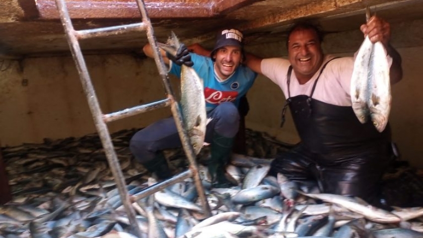 Riqueza del mar argentino que no deja de sorprender