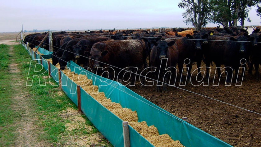 Comederos de para ganado de Rappachiani