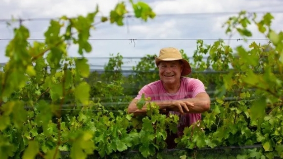 Productor busca posicionar a Entre Ríos como polo vitivinícola: “Pasear por Gualeguaychú es como caminar por Bordeaux”