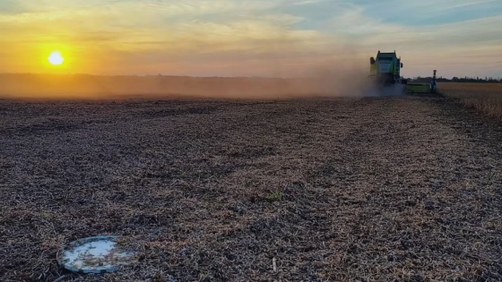 Sistema de aire forzado mejora eficiencia y reduce pérdidas en la cosecha de soja