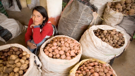 La papa: un tesoro nutricional para el desarrollo rural