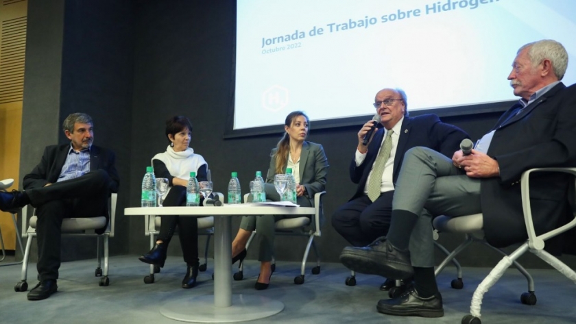 Mendiguren destacó la importancia estratégica del desarrollo del hidrógeno en Argentina