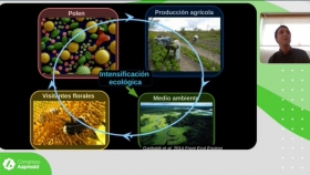 Aporte de los polinizadores a los sistemas de producción
