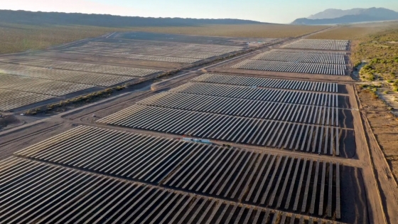 La energía verde en Argentina: obstáculos y oportunidades para el futuro