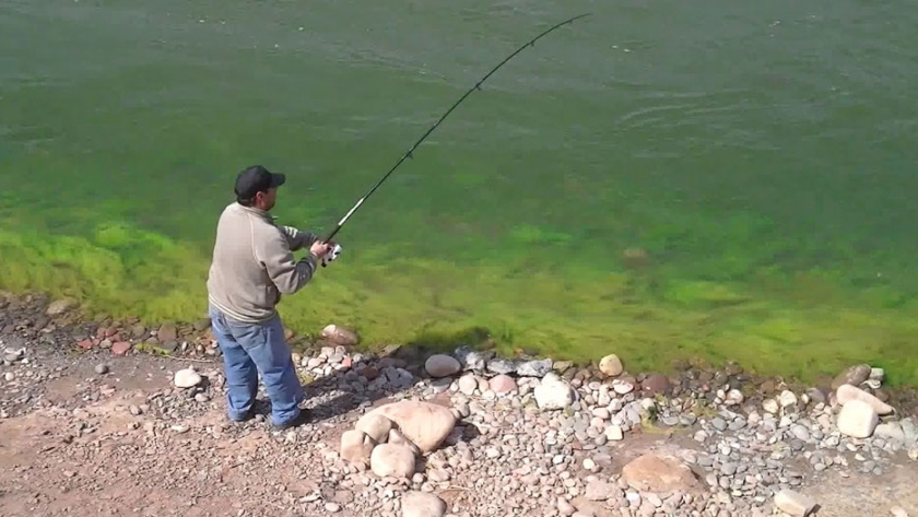 Continúan los controles para evitar la pesca furtiva