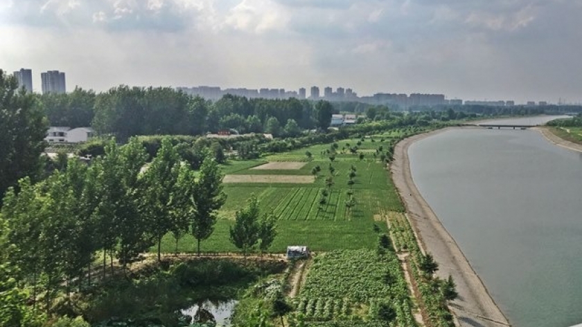 Restauración ecológica en paisajes urbanos