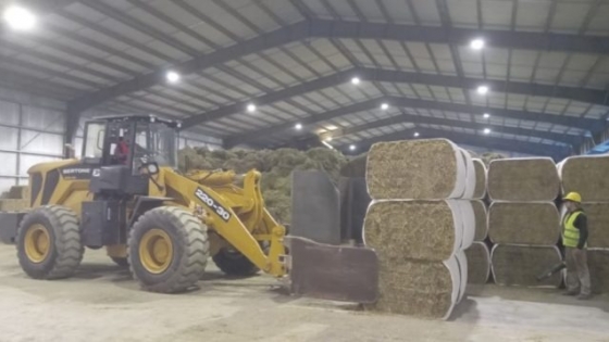 San Luis fortalece su perfil exportador con un nuevo envío de alfalfa hacia China