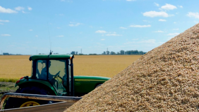 Arroz: Argentina expande el mercado a Australia