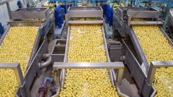 Las exportaciones de limón argentino marcaron su mejor registro en dos décadas y crecieron 36% en el inicio de 2026