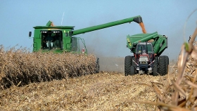 Entre Ríos: El maíz de primera promedia los 50 quintales