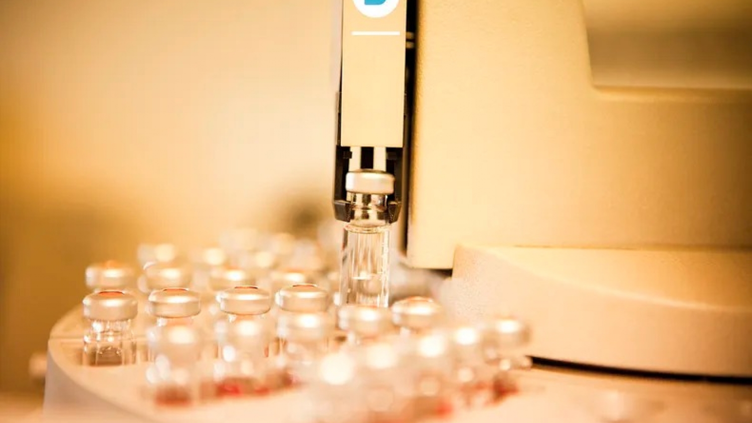 SENASA habilitó la importación de nuevas vacunas bovinas y actualizó el marco sanitario nacional