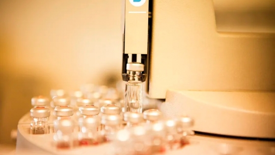 SENASA habilitó la importación de nuevas vacunas bovinas y actualizó el marco sanitario nacional