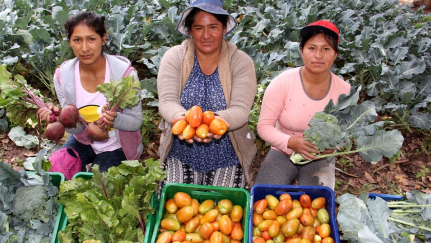 Segunda jornada de multiferia en los barrios