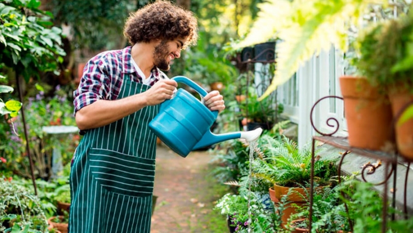 Para la huerta: el calendario de las plantas silvestres comestibles y medicinales