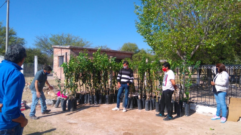 Distribución de plantas frutales a productores y productoras del Dpto. Gral Belgrano
