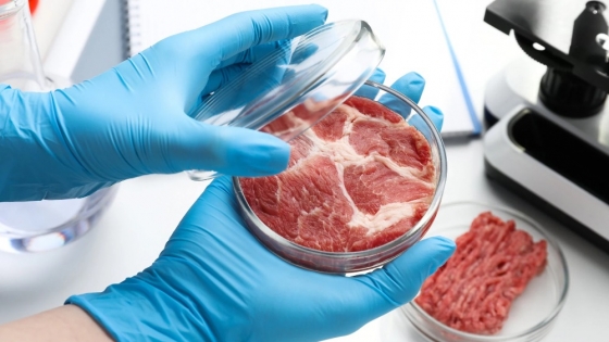 Carne cultivada: ¿beneficiosa o perjudicial para la salud y el medio ambiente?