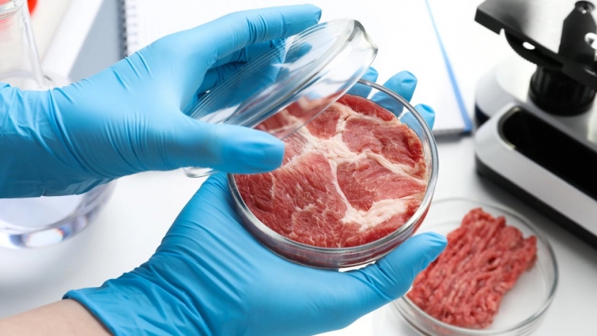Carne cultivada: ¿beneficiosa o perjudicial para la salud y el medio ambiente?