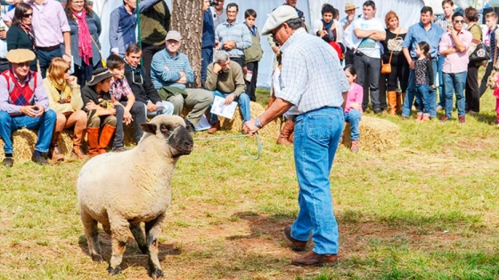 Buscan integrar más zonas productoras a la mesa provincial ovina y caprina