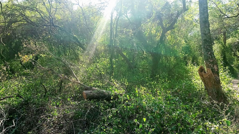La Secretaría de Ambiente realizó inspecciones en el parque natural Sobrante S de Diamante