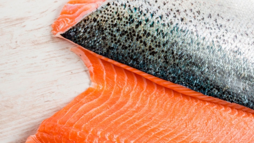 Sernapesca logra transporte de salmones por Argentina