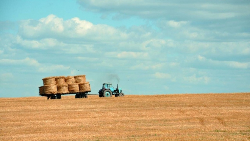 Una clara oportunidad para nuestro país como productor de alimentos: desacoplar producción de impacto ambiental