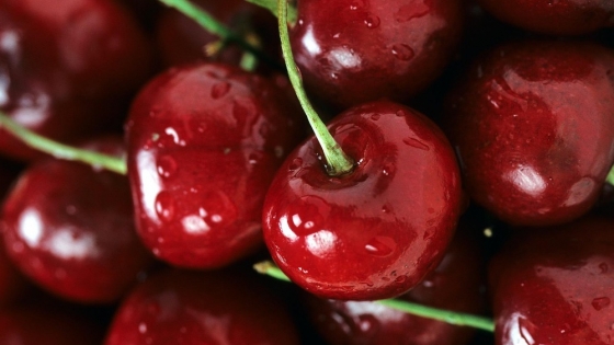 Sudáfrica acelera en el negocio de la cereza y se prepara para ganar peso en el mercado global