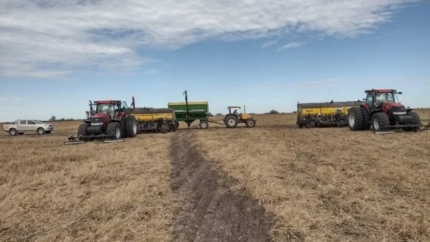 La zona en donde el productor quiere sembrar trigo, pero no puede
