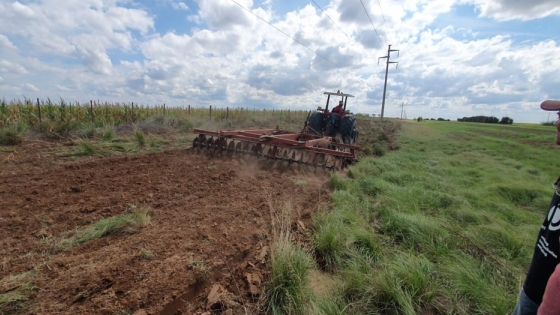 El Gobierno provincial plantó 600 hectáreas de alfalfa en banquinas de autopistas