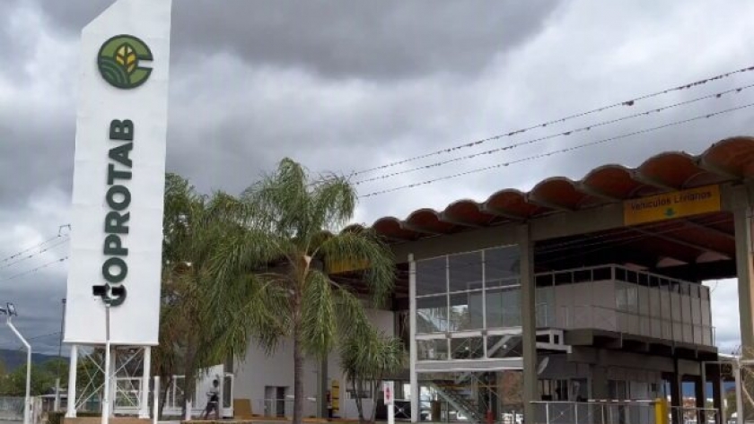 Se extiende el acopio de tabaco