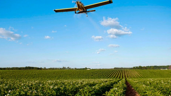El impacto de la siembra aérea de cultivos coberturas