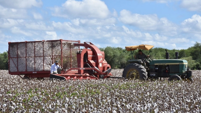 El sector productivo provincial está en plena recuperación tras las lluvias