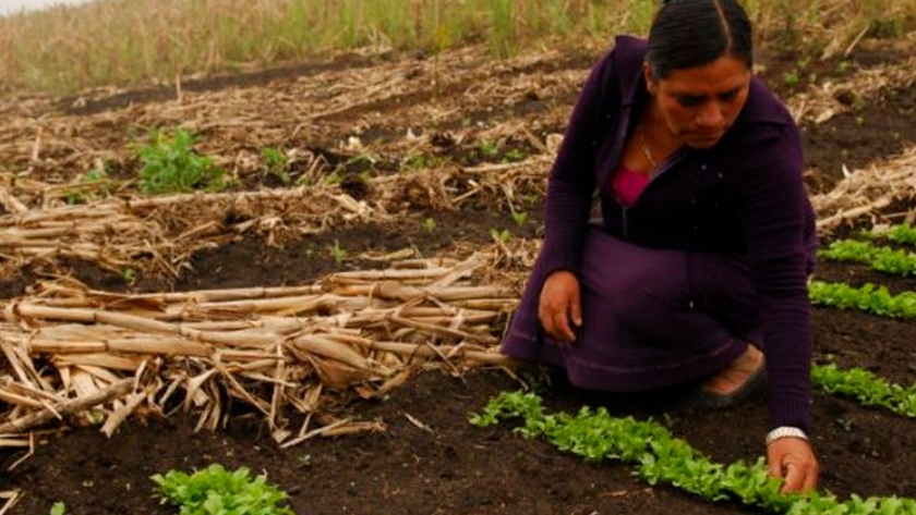 La Rioja: el rol de la mujer rural