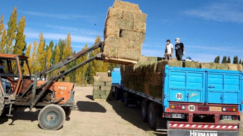 El gobierno acompaña la producción de los crianceros neuquinos
