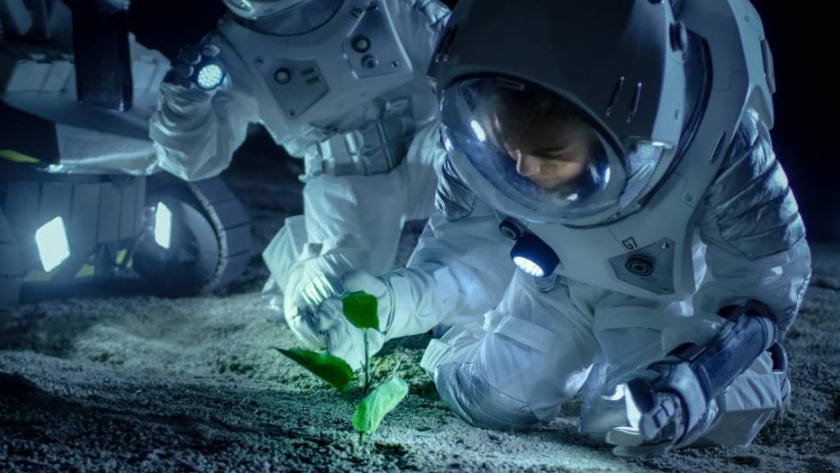 Próximo reto: la NASA va por el cultivo de comida en el espacio