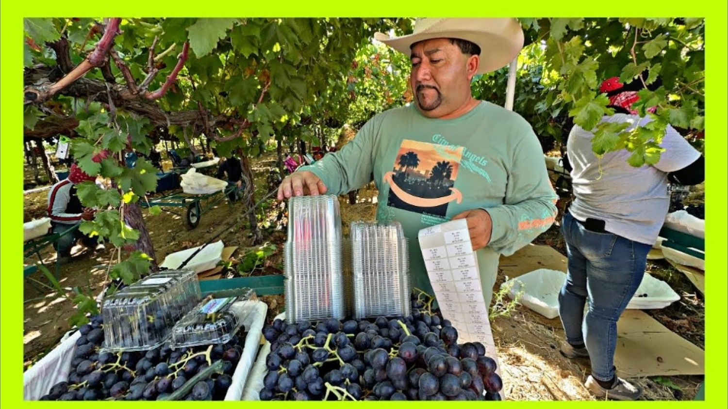 SENASA reglamentó el empaque de frutas a campo y comienza a aplicarse en la uva