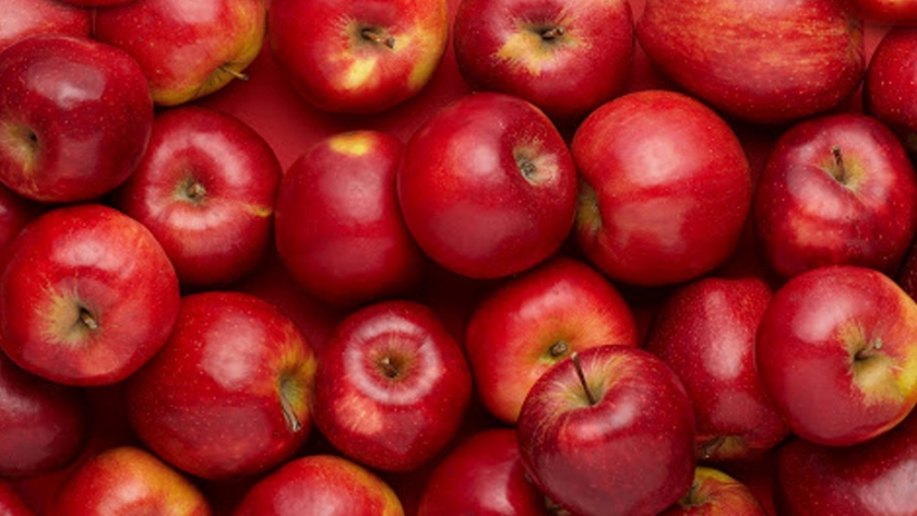  El cultivo de la fruta de copa en Rusia lucha por empezar