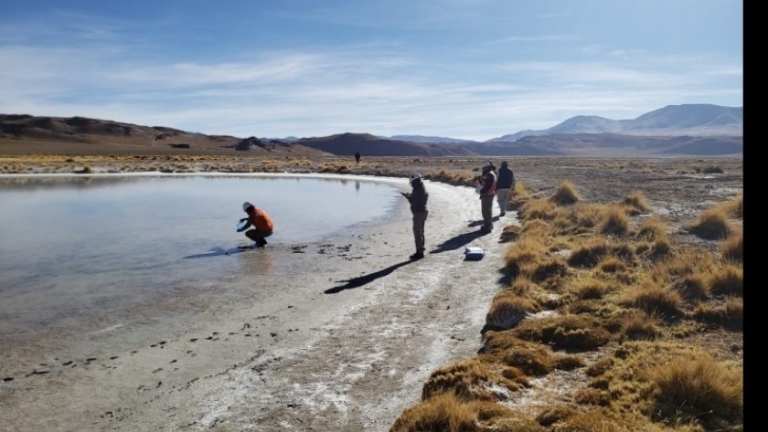 Medio Ambiente realizó un monitoreo participativo interinstitucional en la Puna