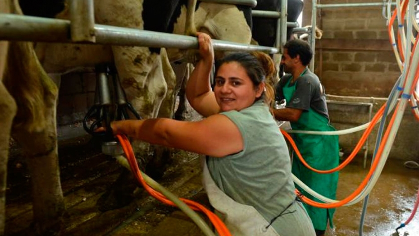 La producción de leche creció 7,4% en 2020 y fue la más alta en cinco años