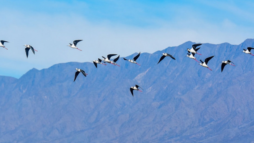 Ecoturismo en San Juan: sumate a las visitas guiadas en el Parque de la Biodiversidad