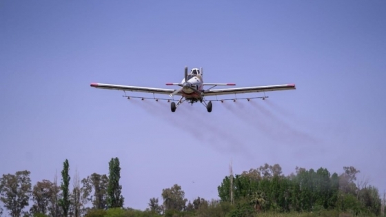 San Juan intensificó el control de la polilla de la vid con aplicaciones aéreas seguras