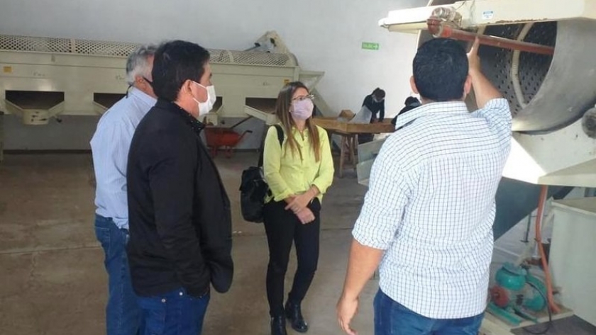 Buscan reactivar emprendimientos Agroindustriales en el Norte Chico de Belén