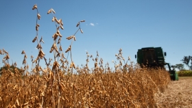 Brasil logró una cosecha récord de soja de 137 millones de toneladas para duplicar la producción lograda en la última década
